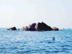 Rjsz01fk3gbeh1ffhxmw6ou5qz9y 1570455099 wayari