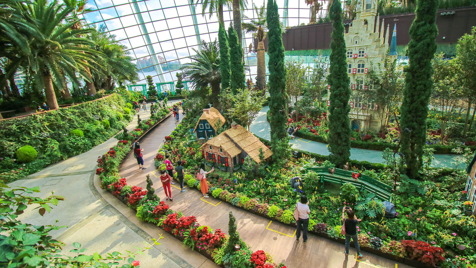 Enjoy the color changing displays at Flower field
