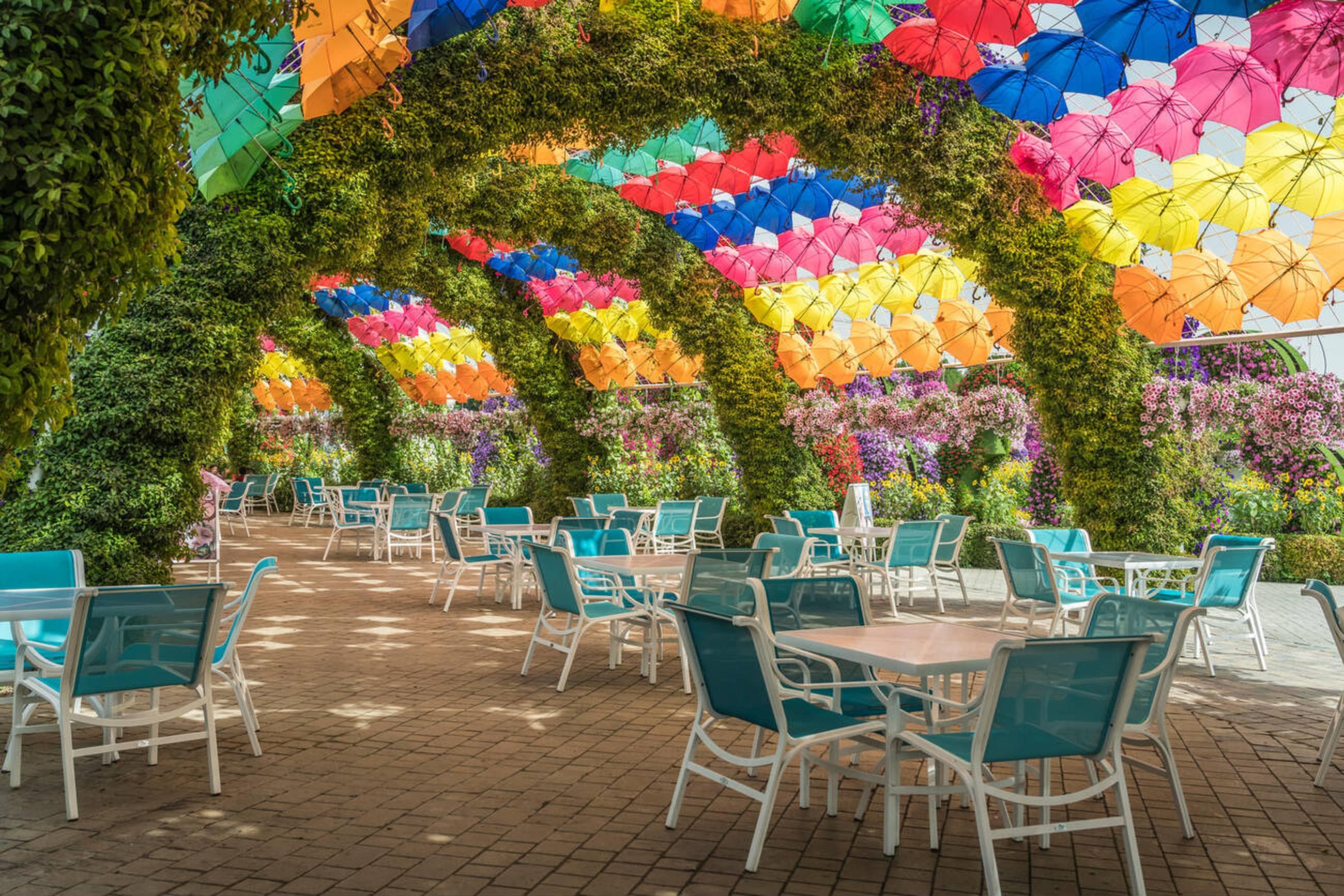 Miracle Garden Dubai
