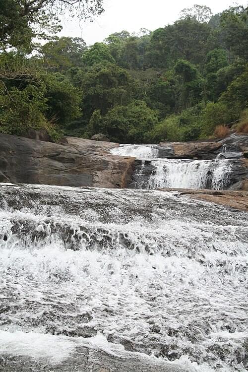 Take a Dip in the Serene Water
