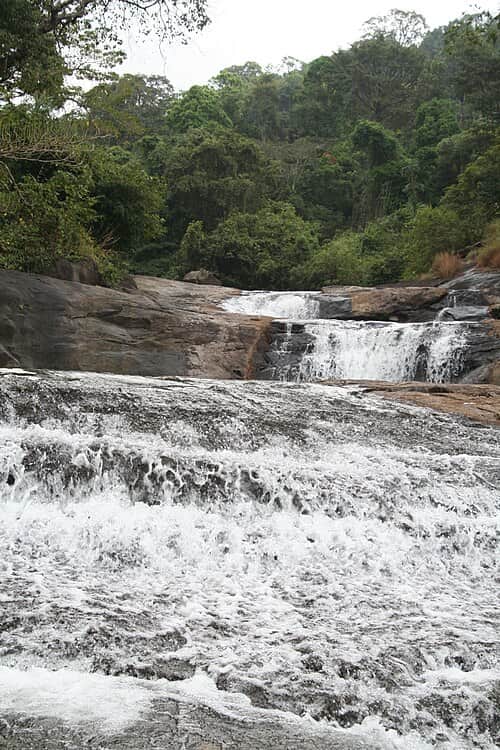 Take a Dip in the Serene Water