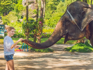 Explore the Pinnawala Elephant Orphanage