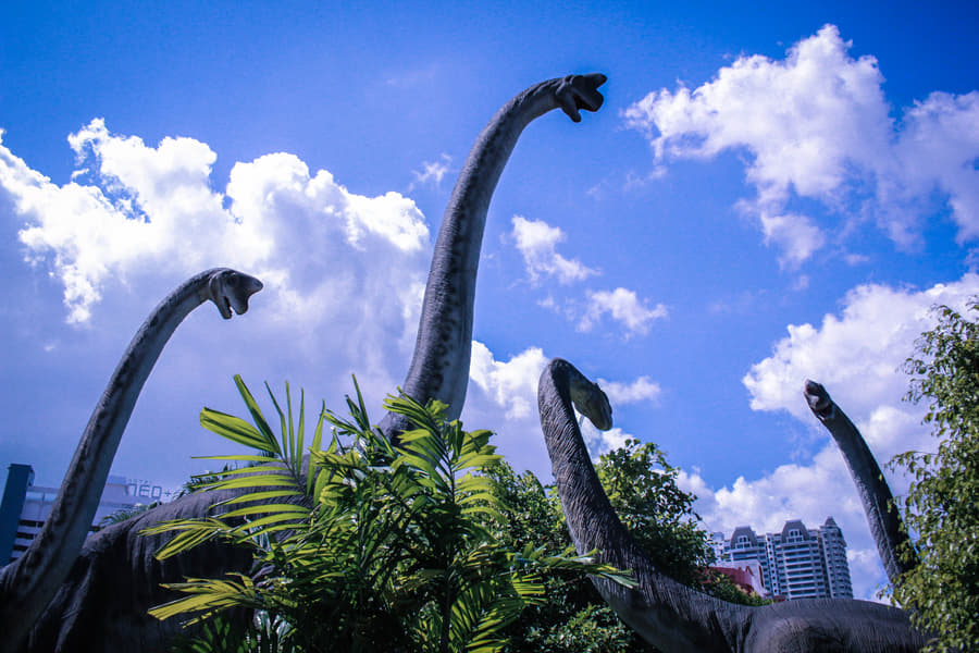 The Top Rainbow Skywalk Tickets Image