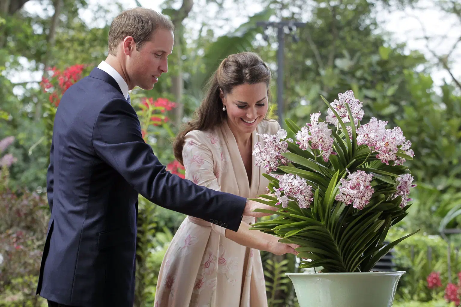 Celebrity Garden