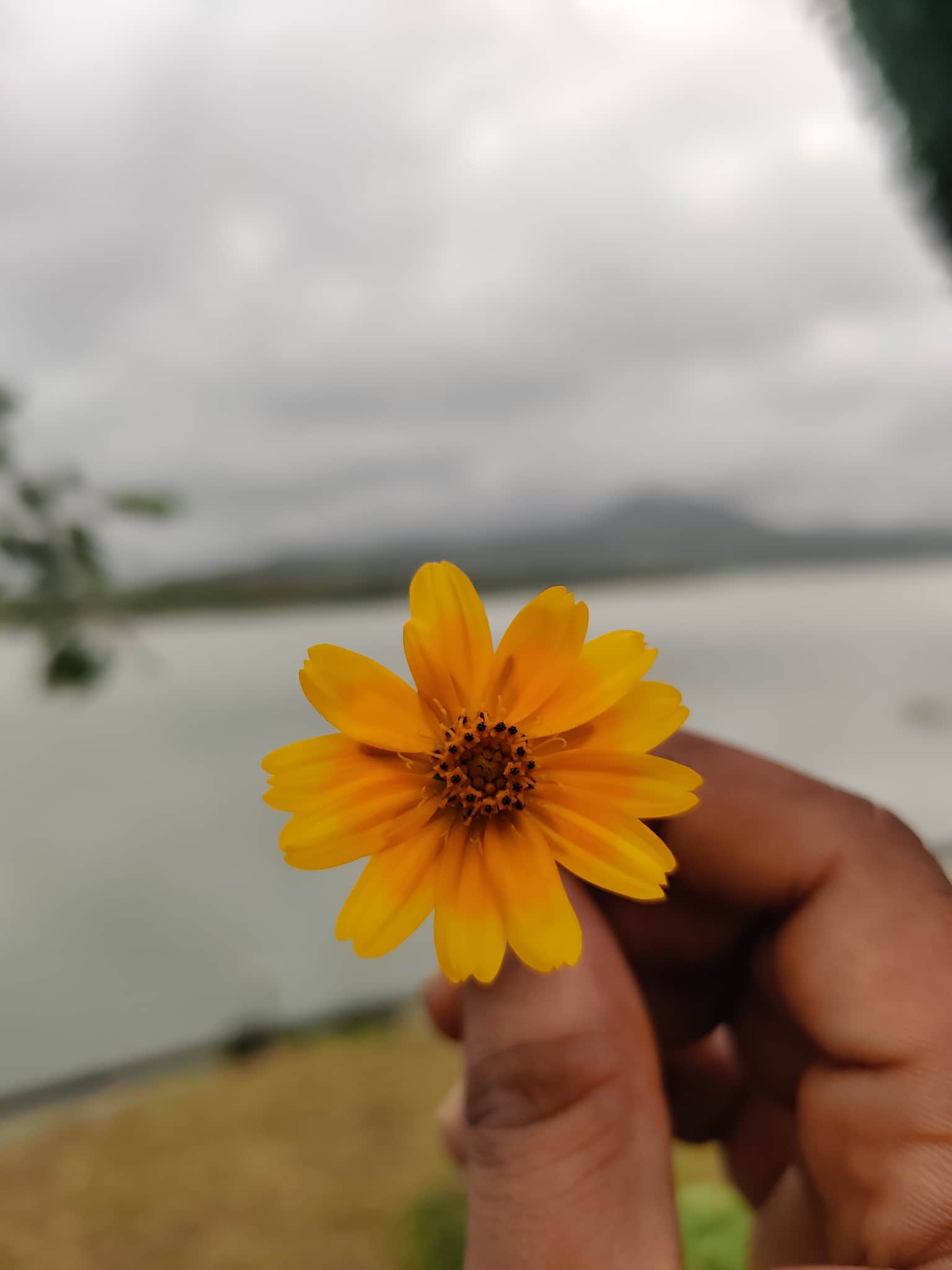 Photo from Adarsh Chullikkattil's trip