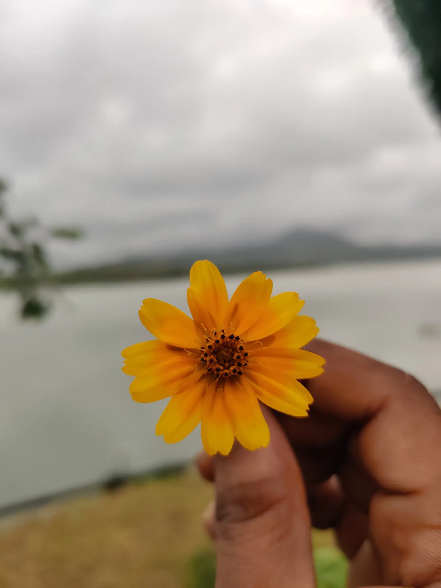 Photo from Adarsh Chullikkattil's trip