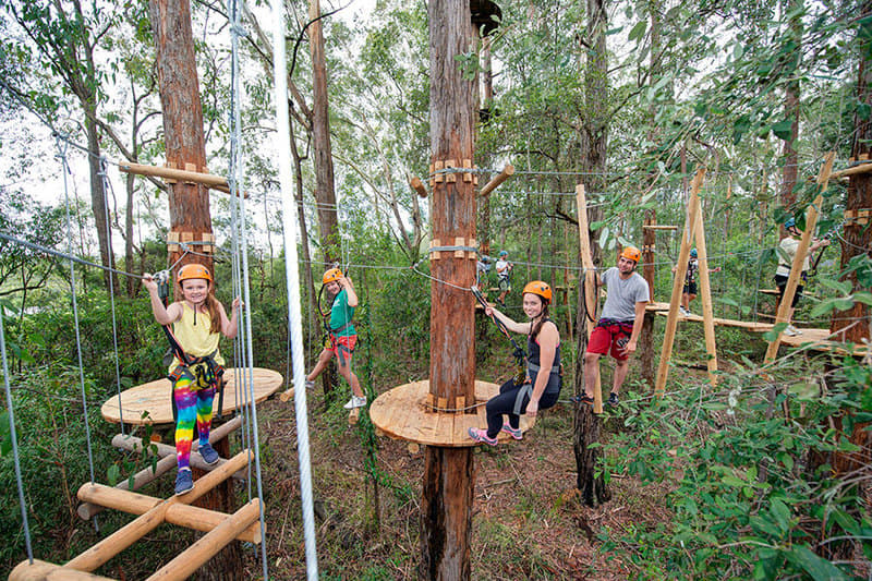 Treetops Adventure Yeodene Park Image
