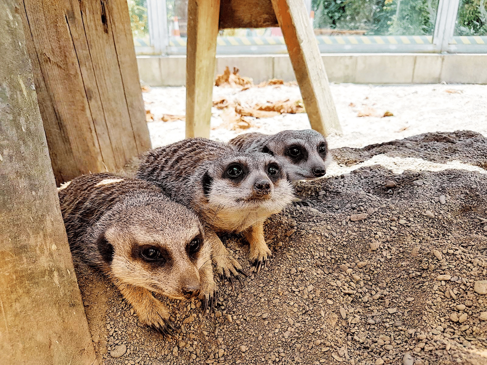 Natureland Zoo Overview