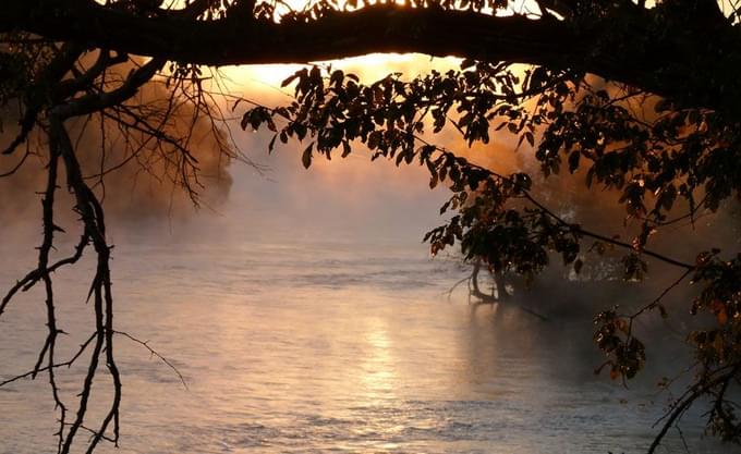 kafue-national-park-safari