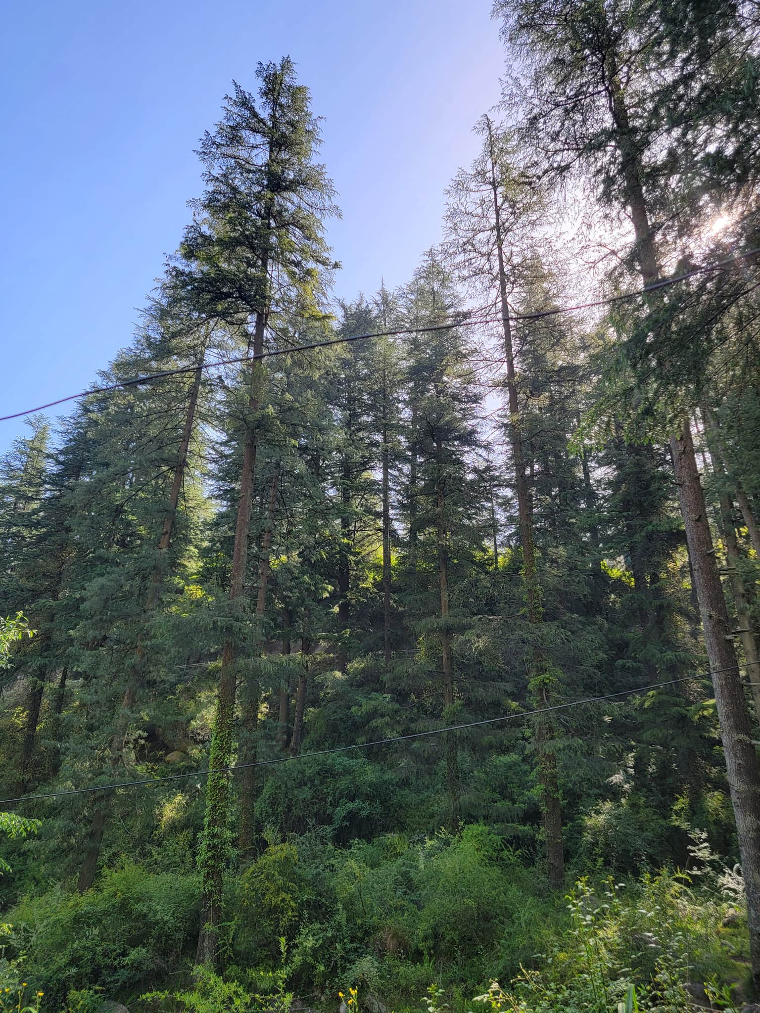 Photo from Pravalikha  's trip