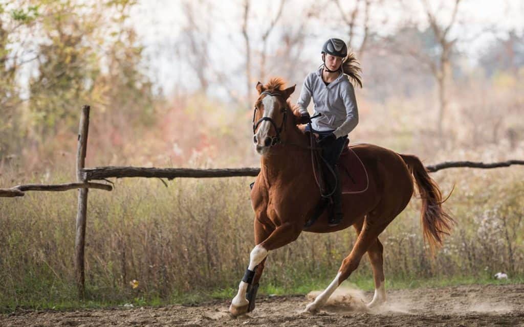 saddle up and ride away