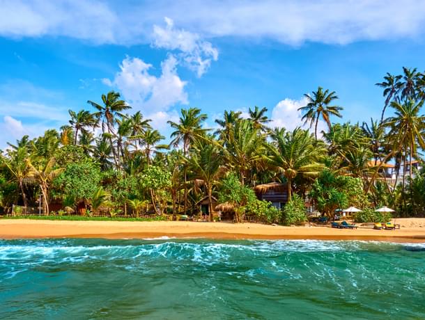 25 Beach Resorts In Sri Lanka For A Glorious Beach Getaway