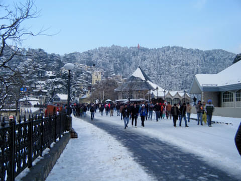 Activity & SightSeeing Image