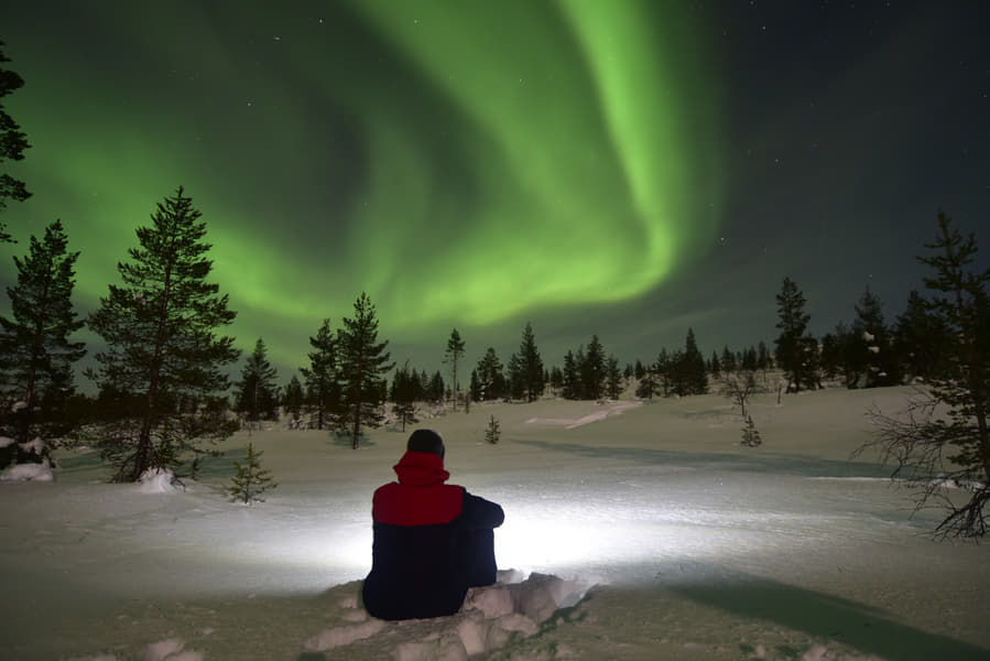 Northern Lights Bus Tour From Tromso Image