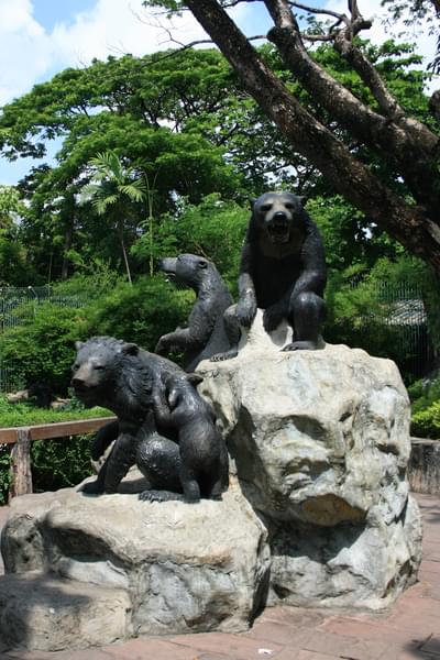 Admire the amazing sculptures of bears