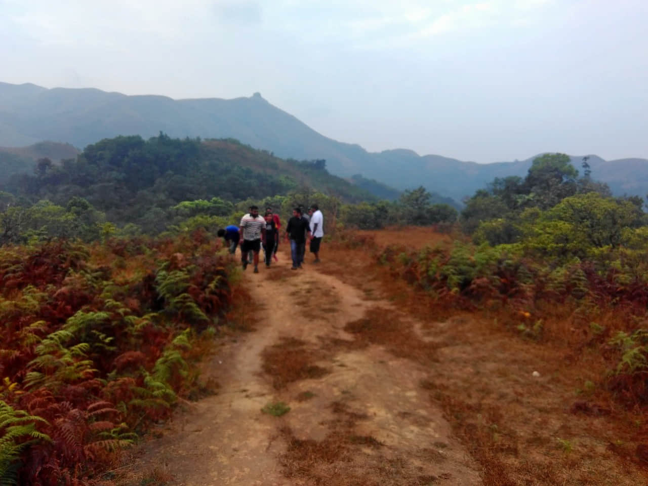 Photo from vijaykumar 's trip