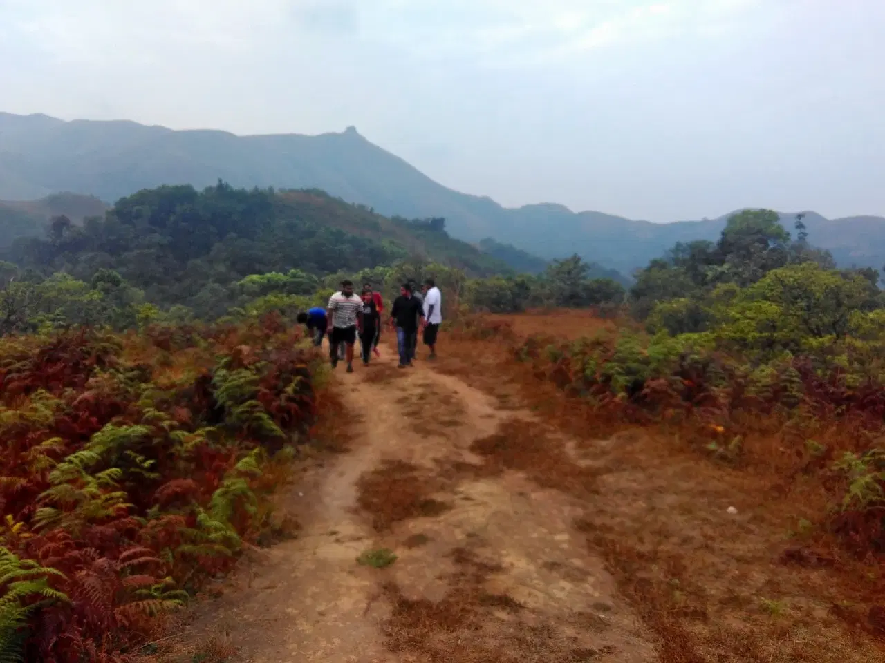 Photo from vijaykumar 's trip