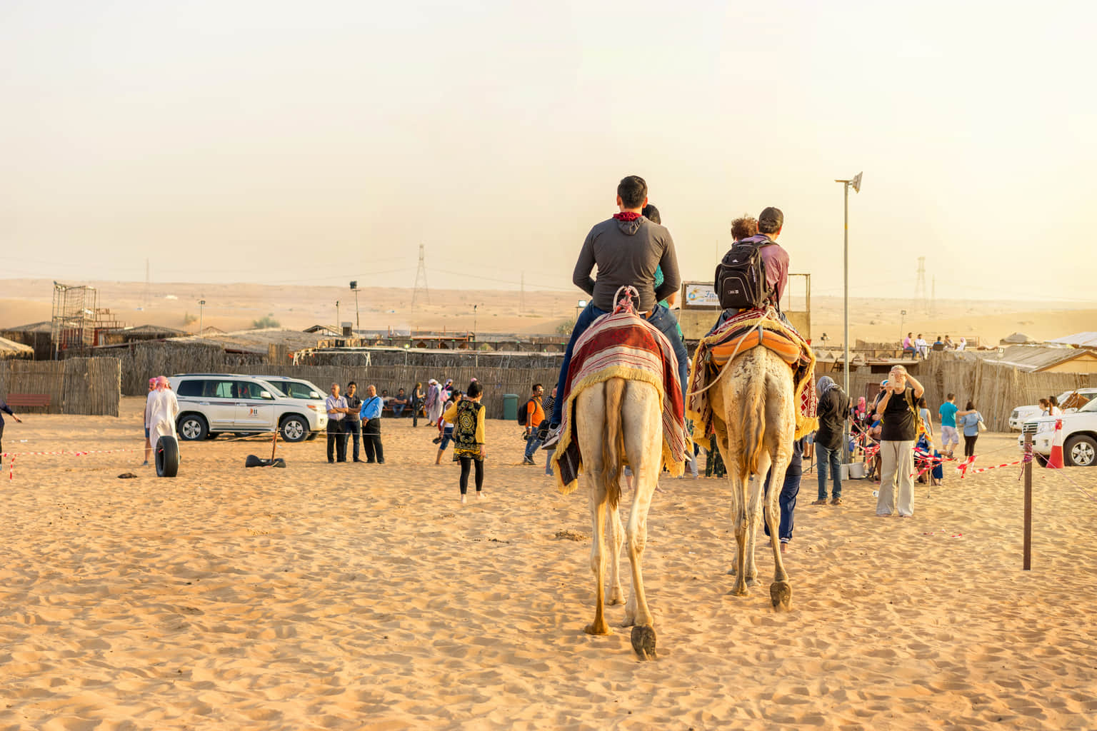Go for Desert Activities