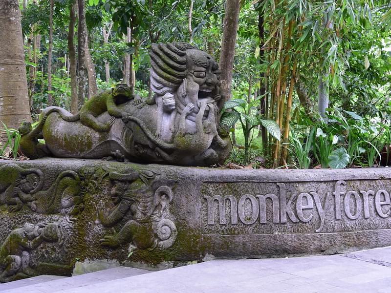 Ubud Tour with Elephant Cave and Monkey Forest (Solo)