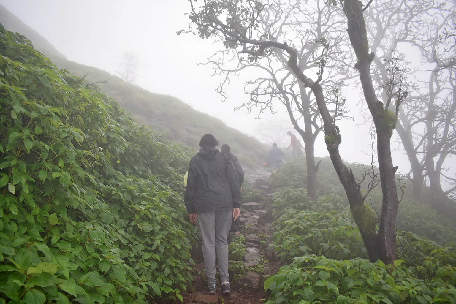 Photo from Snehanshu Shoms's trip