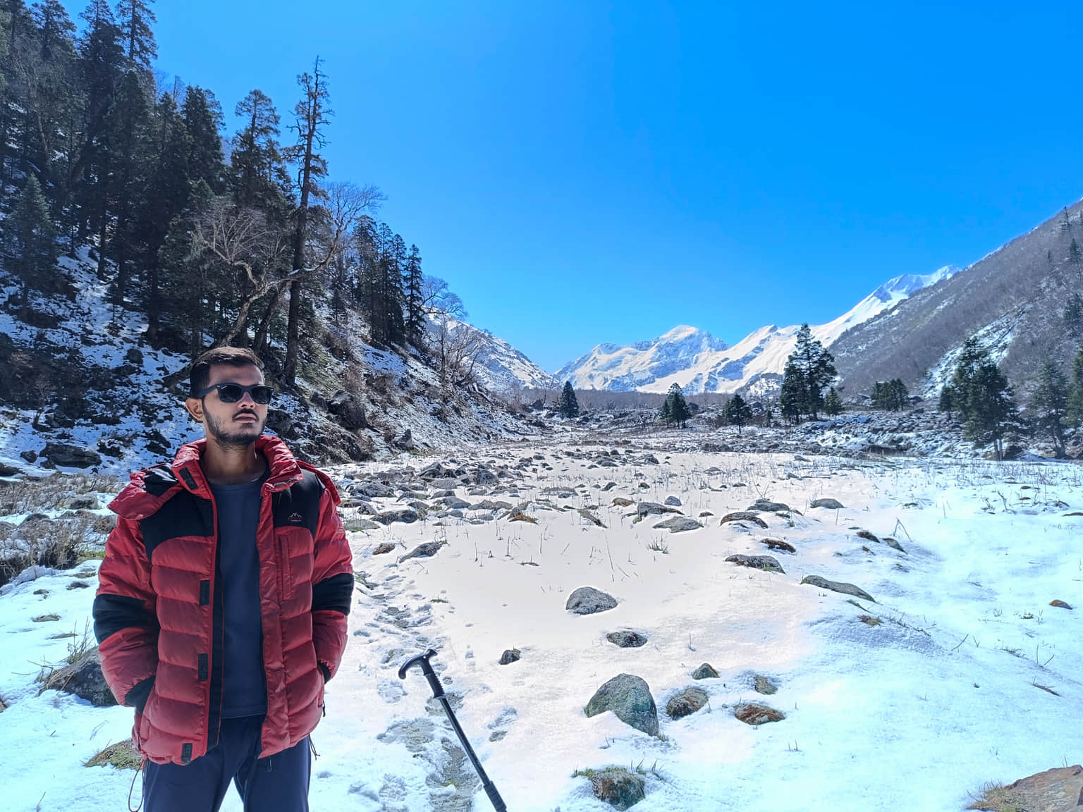 Traveller photo