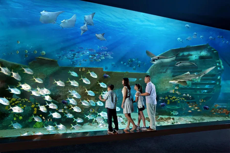 SEA Aquarium Singapore