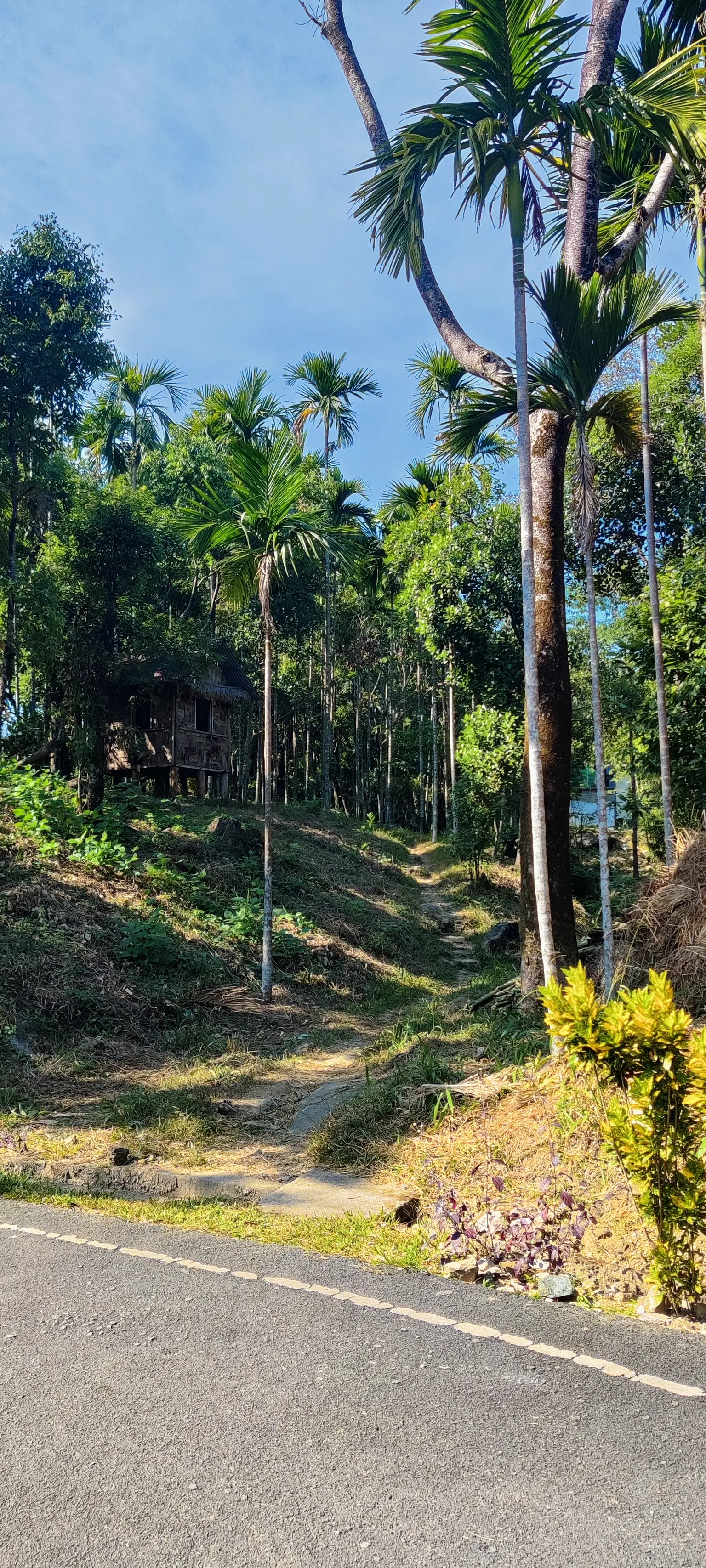 Photo from Chitturi Yashwanth's trip