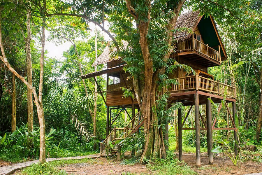Valley View Tree House Stay Near Chikmagalur Image