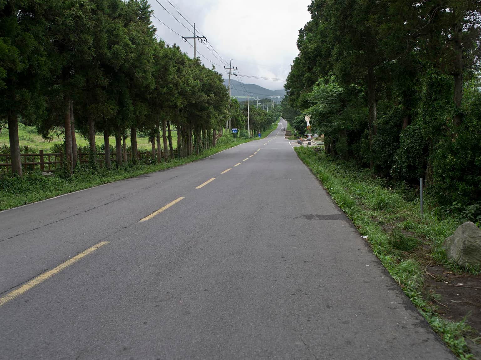 Mysterious Road