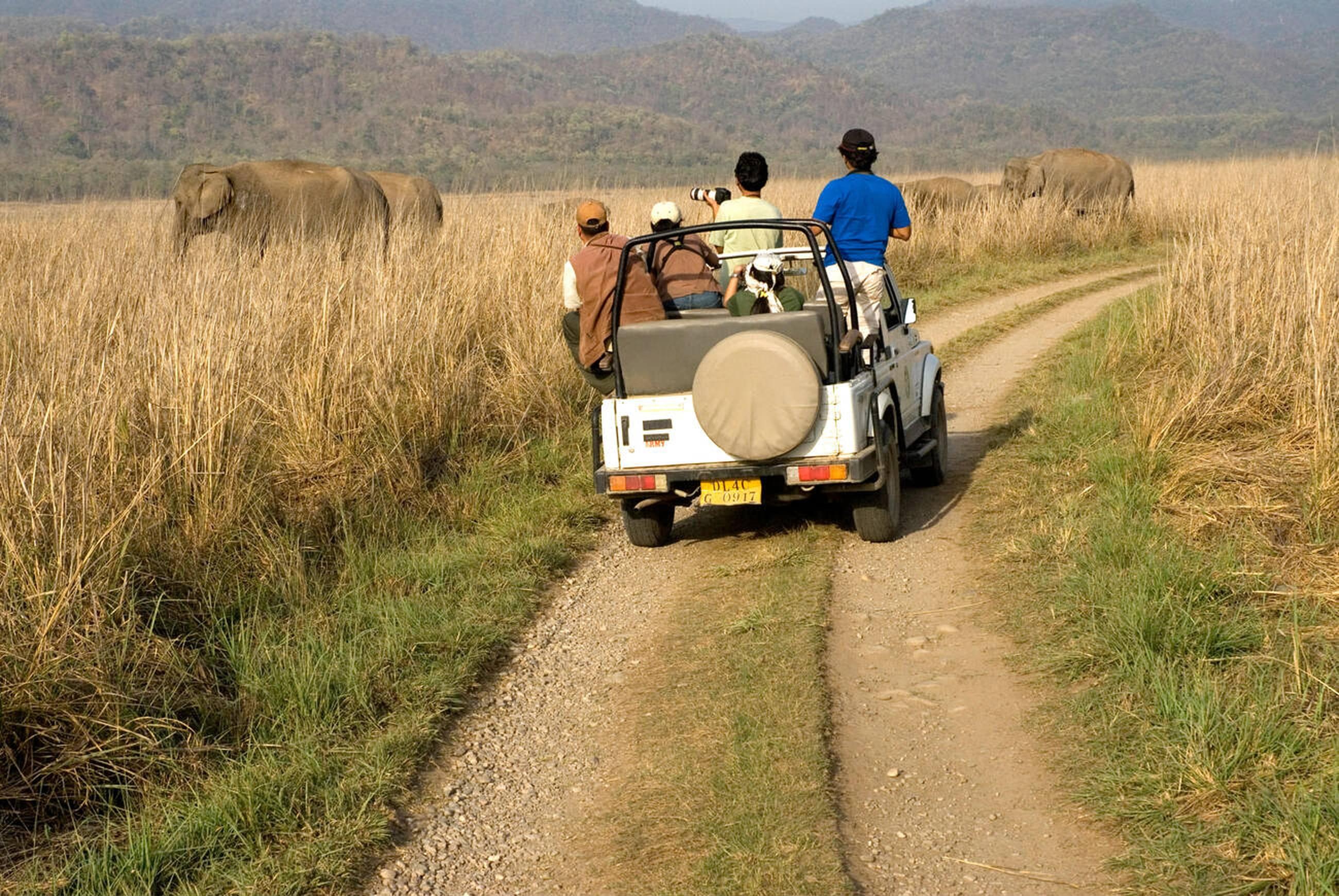 Tourist at Jim Corbett National Park