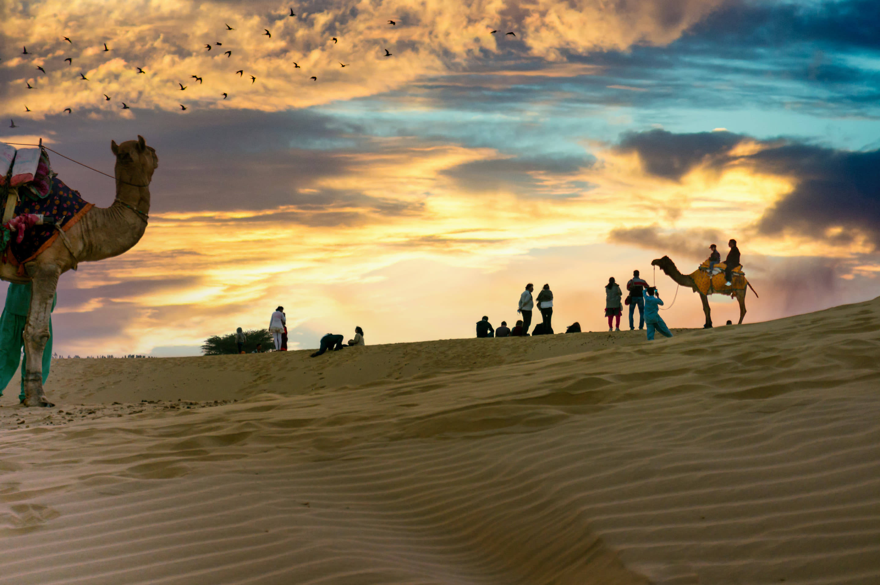 Packages of Rajasthan