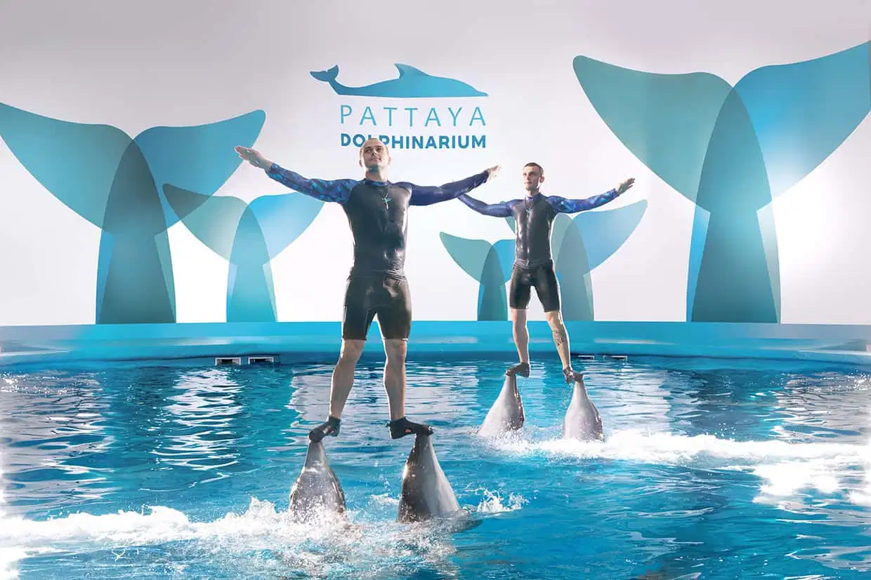 Pattaya Dolphinarium Tickets
