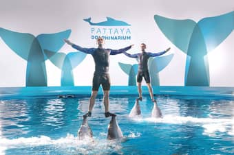 Visit Pattaya Dolphinarium