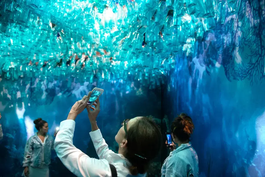 Arcadia Earth Tickets Image