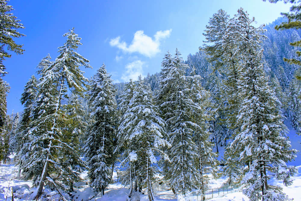 Off-beat Places to Visit in Kashmir