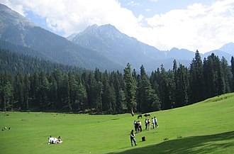 Enjoy a friendly round of Golf