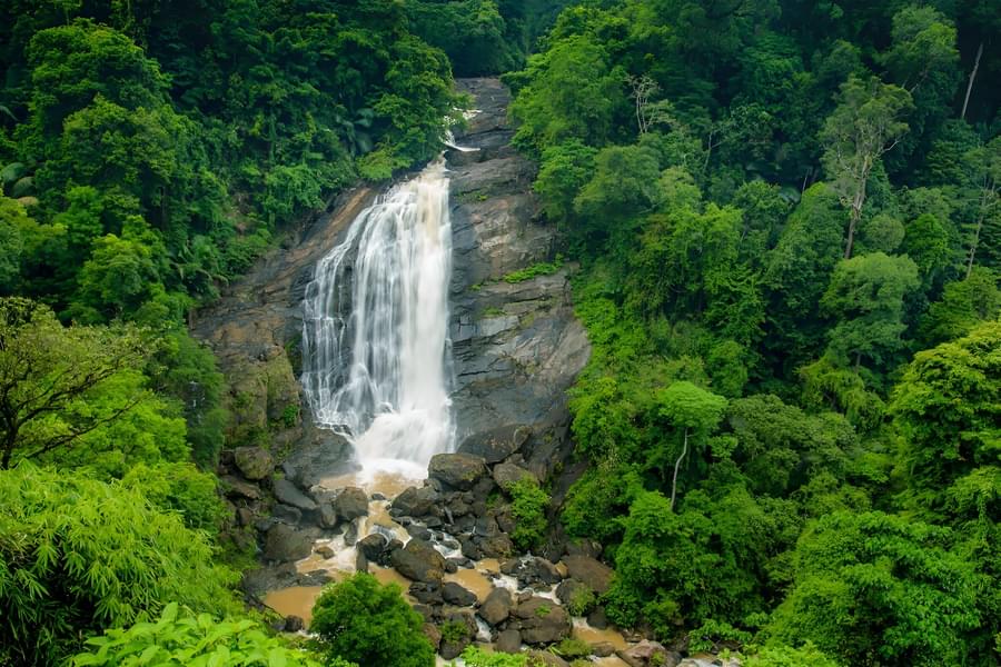 Munnar Sightseeing Tour Image