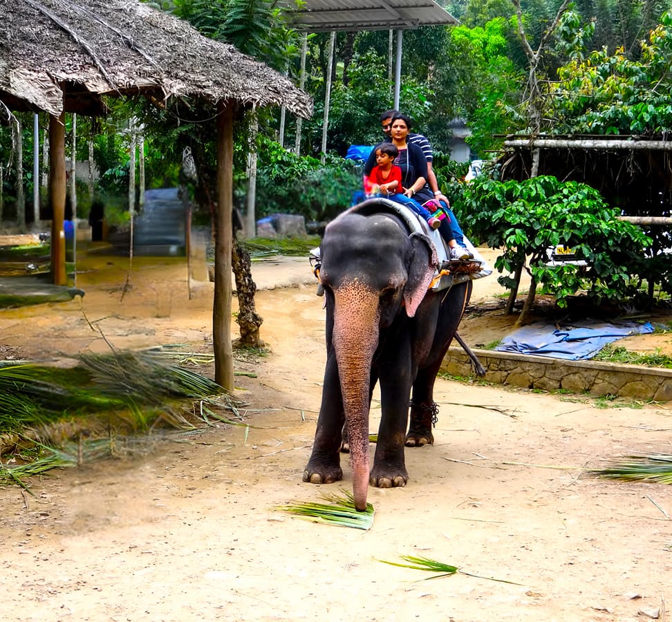 16 Places to Visit in Thekkady, Tourist Places & Top Attractions