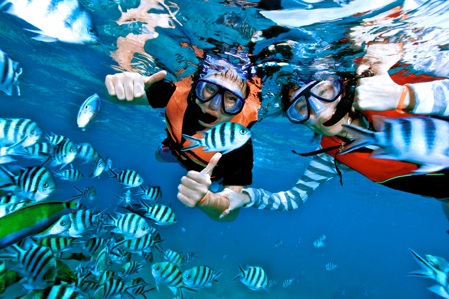 Snorkeling in Neil Island Image