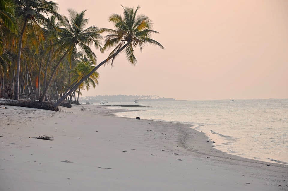 Poudre D'or Beach, <em>Mauritius</em>