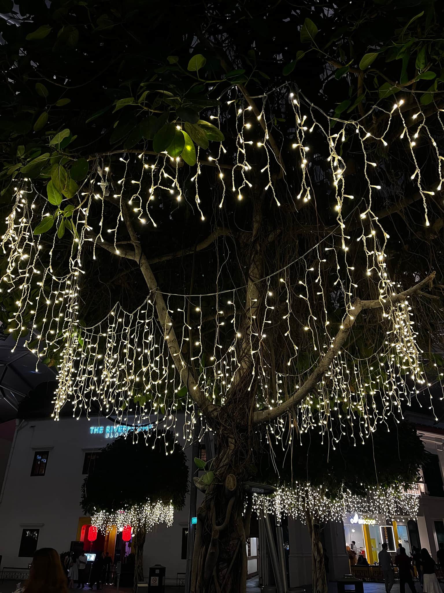 Photo from Rohit Joshi's trip