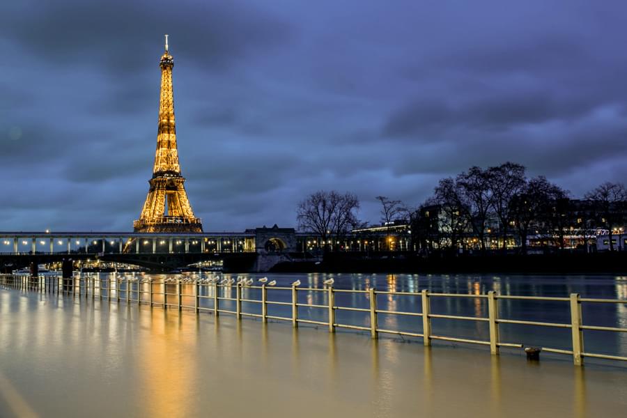 Experience the Light Show of Eiffel Tower at Night