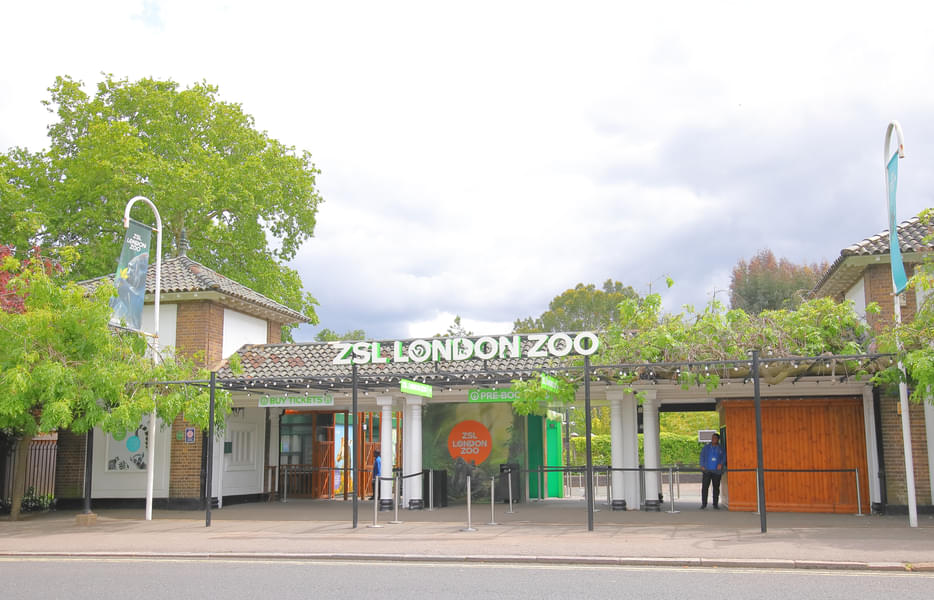 ZSL London Zoo Tickets Image