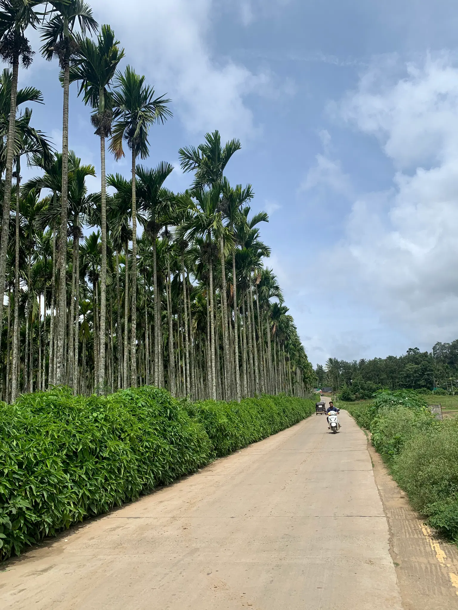 Photo from Sumedh Marathe's trip