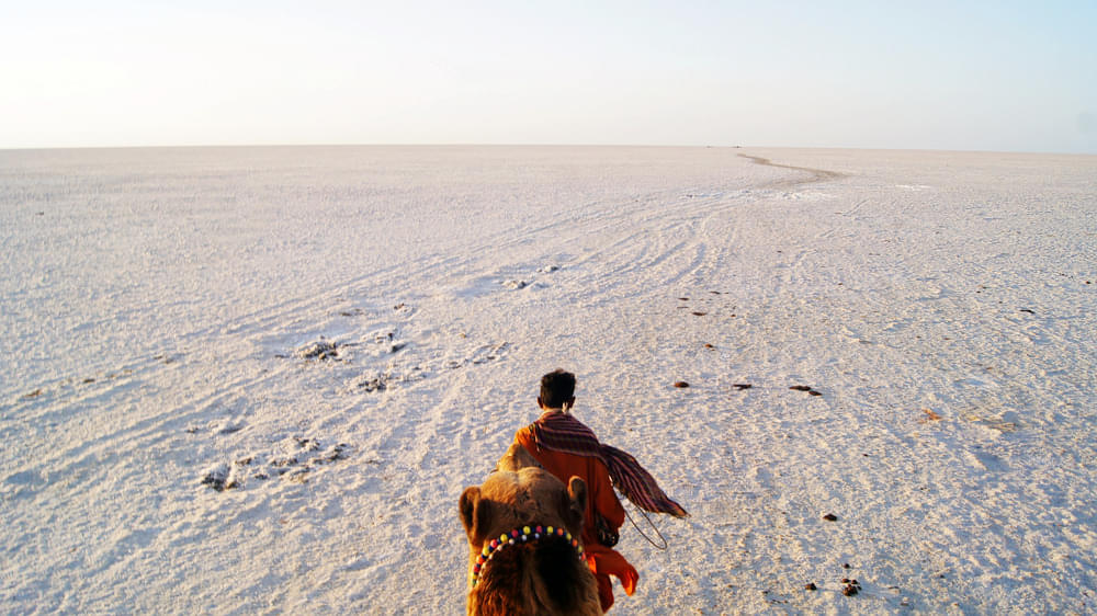Rann Of Kutch Tour Package Image