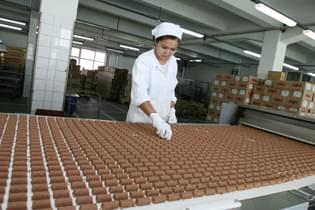 Rskvigbn2gzlu4yqx34vn6sr2jk6 shutterstock 2417179599