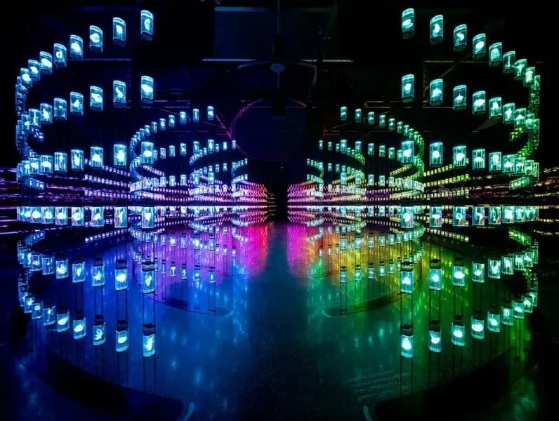 Museum of the Future