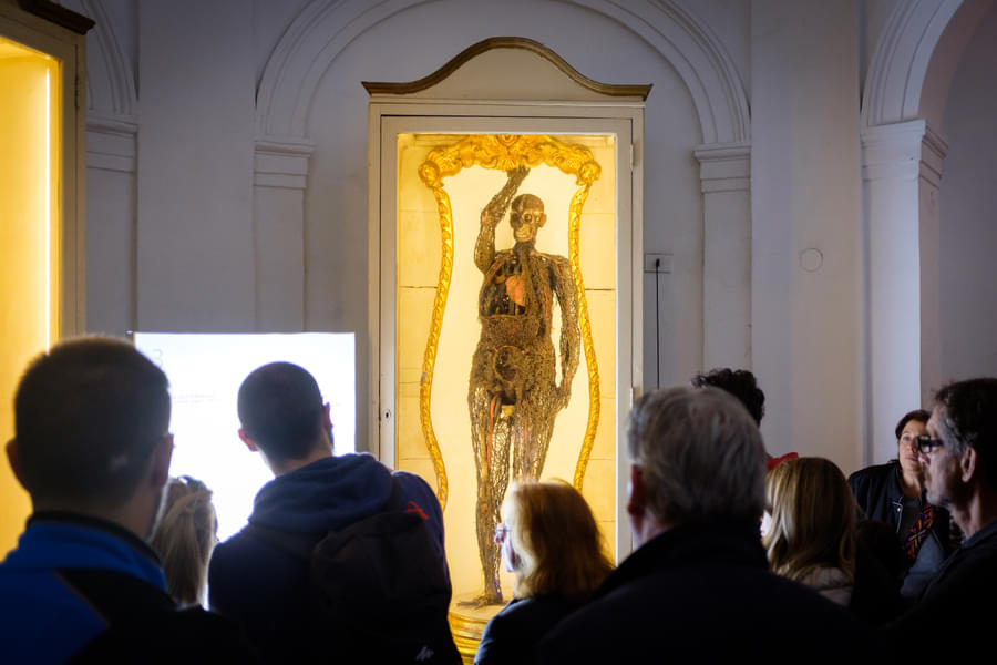 Observe the anatomical machines in Museo Capella Sansevero