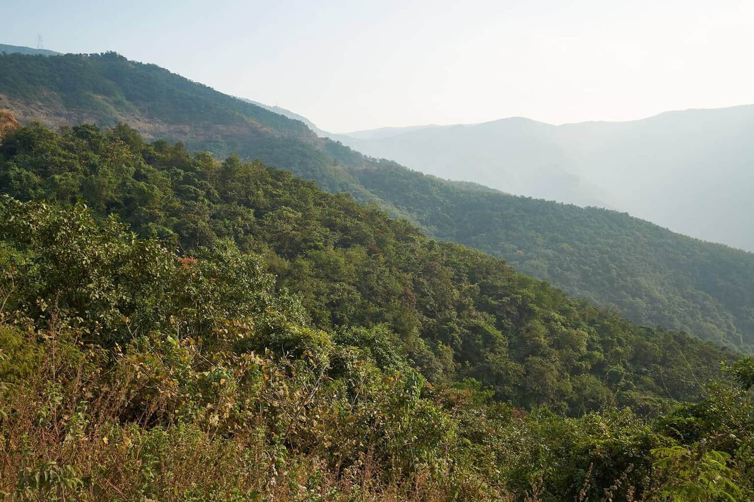 Trek Through the Koyna Wildlife Sanctuary