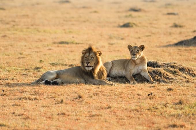 Kruger National Park